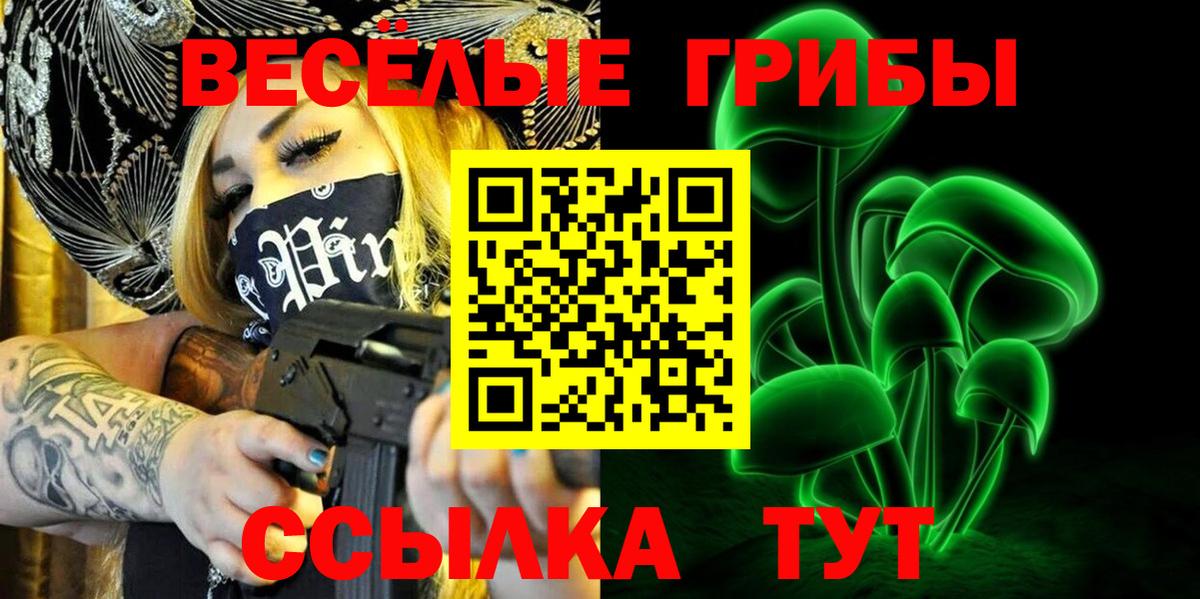 Псилоцибиновые грибы Psilocybe Вязники
