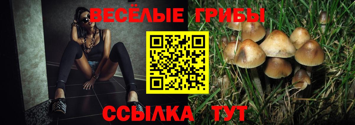Псилоцибиновые грибы MAGIC MUSHROOMS  Вход с VPN  Галлюциногенные грибы MAGIC MUSHROOMS  Вязники 